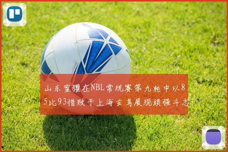 山东蜜獾在NBL常规赛第九轮中以85比93惜败于上海玄鸟展现顽强斗志